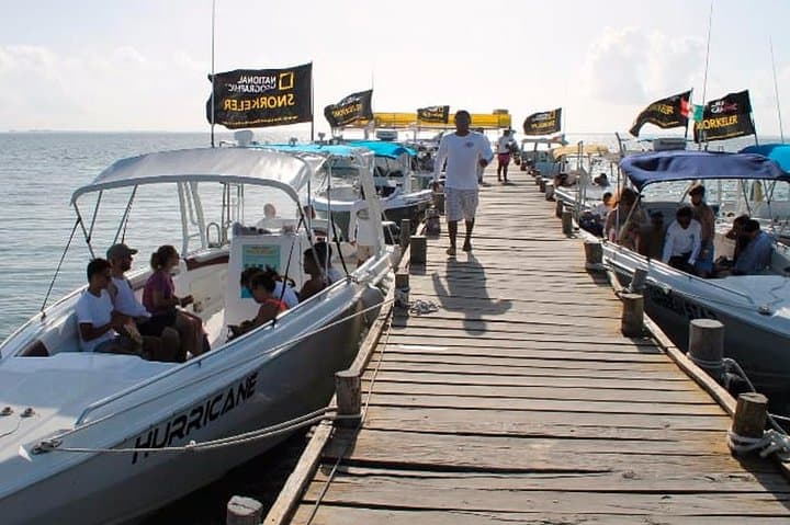 Swim with Whale Sharks from Cancun: Day Expedition to Isla Contoy photo 5