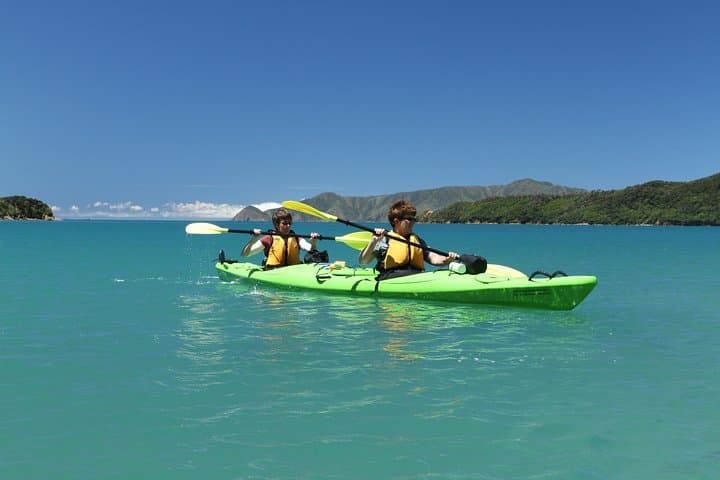 Half-Day Sea Kayak in the Marlborough Sounds — Picton Guided Tour photo 3