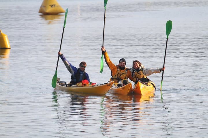 Explore Marlborough Sounds: Full-Day Guided Sea Kayak Adventure from Picton photo 6