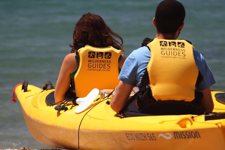 Full-Day Kayak and Link Pathway Walk in Queen Charlotte Sound (Picton) photo 4