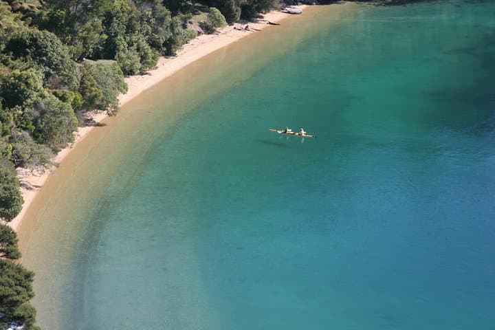 Full-Day Kayak and Link Pathway Walk in Queen Charlotte Sound (Picton) photo 5