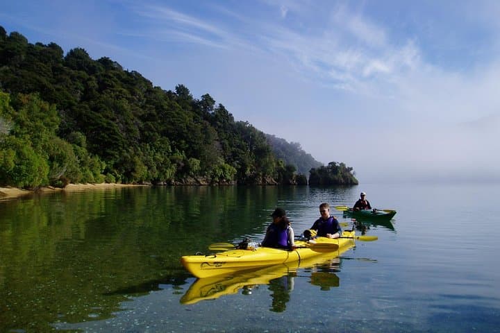 Half-Day Sea Kayak in the Marlborough Sounds — Picton Guided Tour photo 4