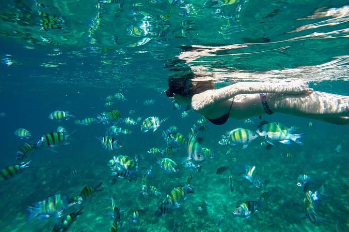 Phi Phi Island Deluxe Speedboat: Full-Day Maya Bay, Pileh Lagoon & Snorkel