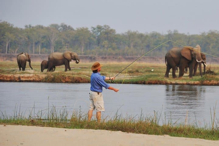 Chobe River Fishing Trip: Target Tigerfish on Botswana’s Wild River photo 3