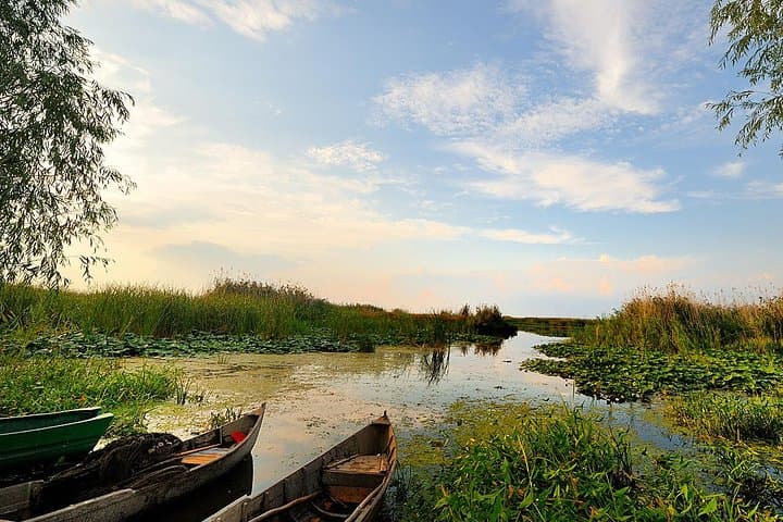 Danube Delta Private Day Tour from Bucharest — Birdwatching, Mila 23 & Boat Cruise