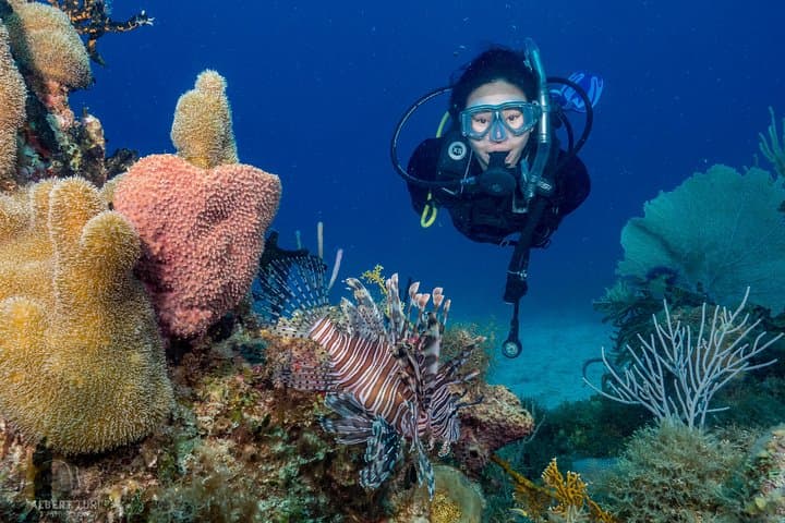Private Bayahibe 3-Tank Diving Day Trip from Punta Cana — Full-Day Caribbean Scuba photo 1