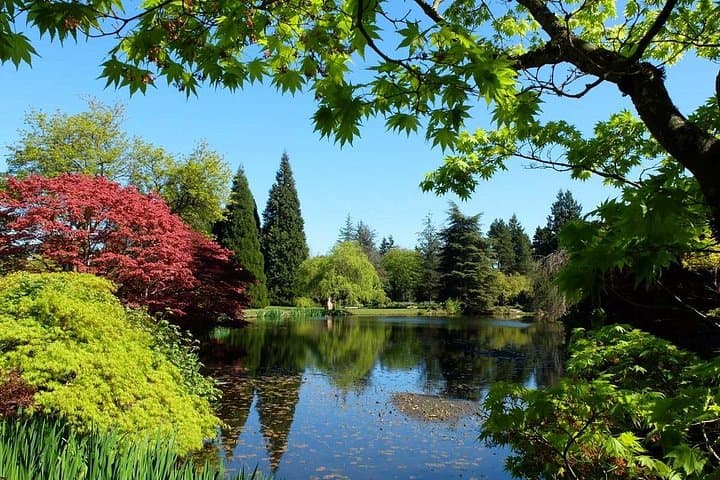 Private Vancouver Day Tour — Stanley Park, Granville Island & VanDusen photo 3