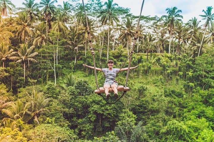 Utterly Ubud: Full-Day Ubud Tour — Rice Terraces, Waterfall & Monkey Forest