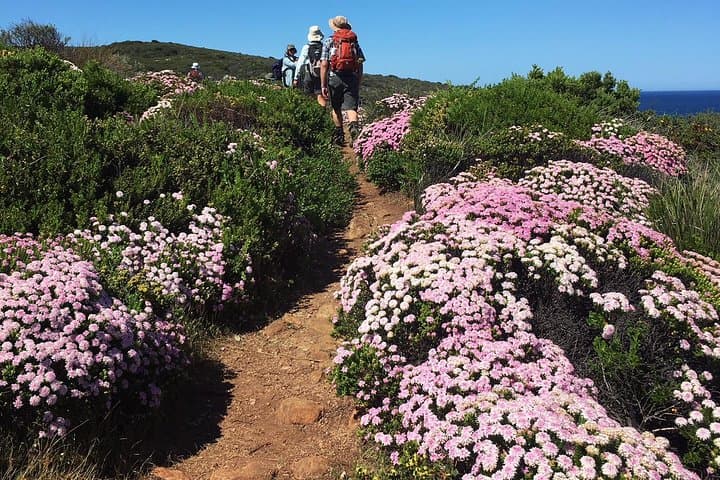 Cape to Cape Track: 8-Day Guided Walk from Perth — No Camping photo 5