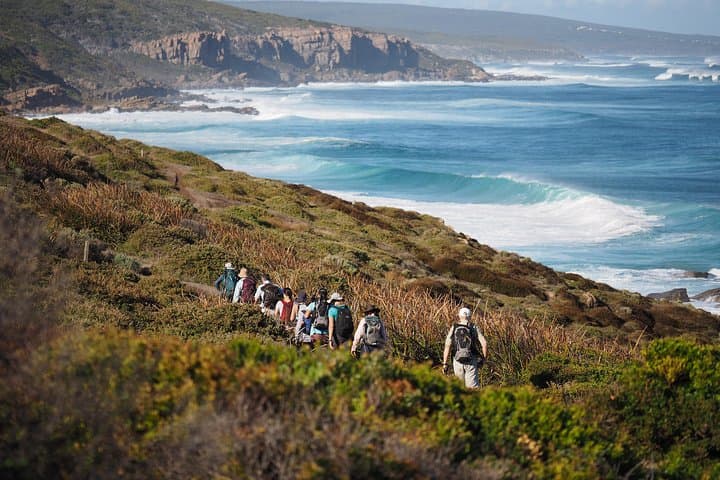 Cape to Cape Track: 8-Day Guided Walk from Perth — No Camping