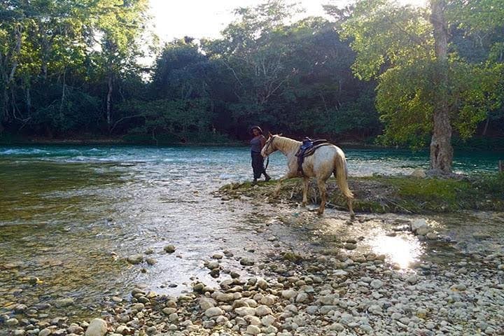 Jungle Farm Horseback Ride from San Ignacio: Savannah, Jungle & River Trails photo 6