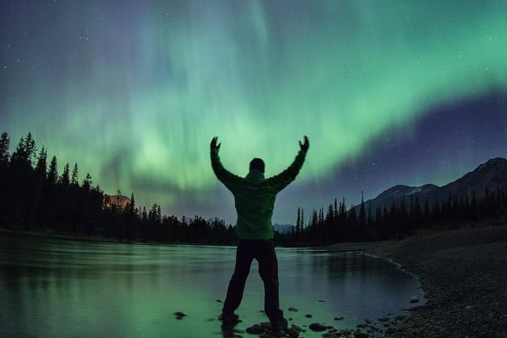Wildlife and Night Skies in Jasper: Planetarium & Evening Wildlife Tour