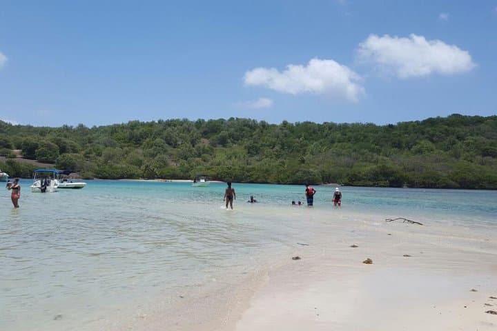 Half-Day Kayak Rental in Robert's Bay: Explore Chancel Islet & Mangroves photo 2