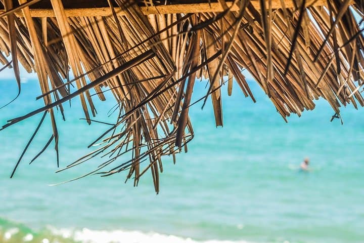 Private Custom Tour of Martinique: 5-Hour Island Highlights from Fort-de-France