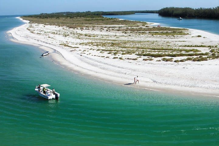 Keewaydin Island Eco Shelling Cruise: Dolphin-Watching from Naples photo 2