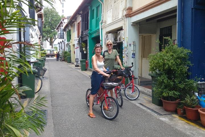 Singapore Full-Day Bike and Food Tour — Private Ride Through Riverfront, Chinatown & Hawker Eats photo 1