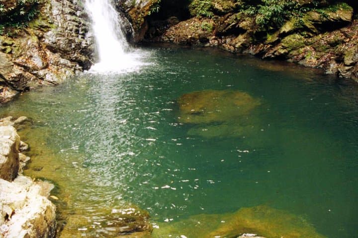 Hidden Waterfall Hike From Panama City — Rainforest Swim in El Valle