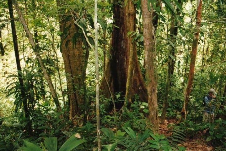 Hidden Waterfall Hike From Panama City — Rainforest Swim in El Valle photo 2