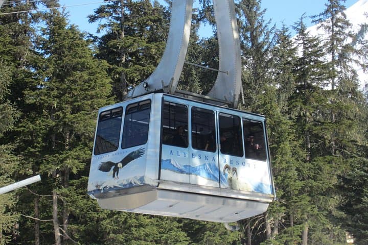 Winter Wildlife & Alyeska Tram Tour from Anchorage — Alaska Wildlife Center Visit