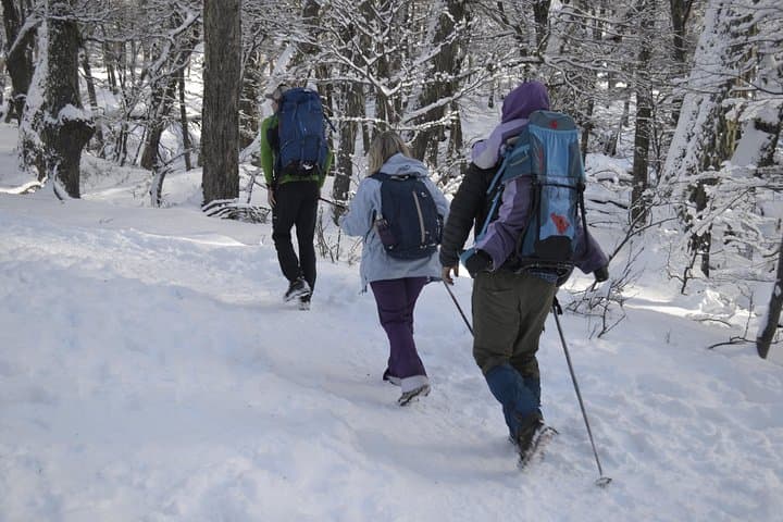 Family-Friendly Snow Excursion in Bariloche: Snowshoe, Sled and Scenic Treks photo 3