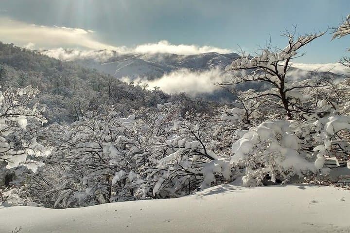 Family-Friendly Snow Excursion in Bariloche: Snowshoe, Sled and Scenic Treks photo 4