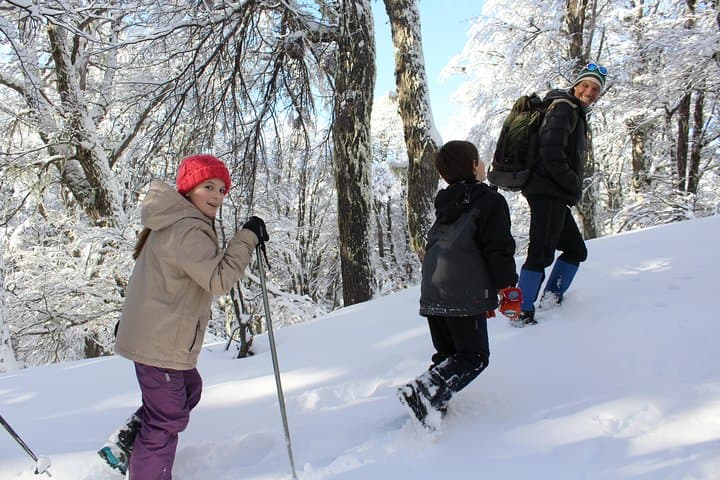 Family-Friendly Snow Excursion in Bariloche: Snowshoe, Sled and Scenic Treks photo 6