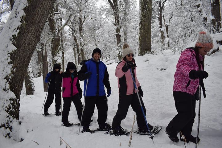 Family-Friendly Snow Excursion in Bariloche: Snowshoe, Sled and Scenic Treks photo 2