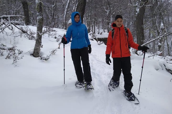 Family-Friendly Snow Excursion in Bariloche: Snowshoe, Sled and Scenic Treks