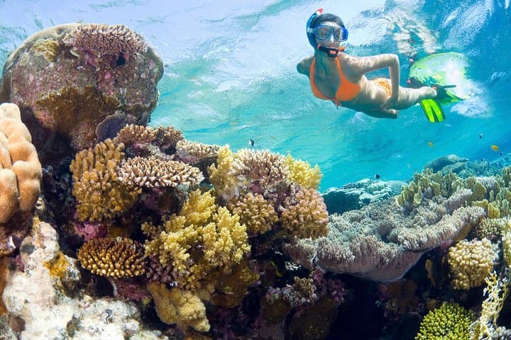 Catalina Island Snorkel Excursion from Punta Cana — Wall Reef, Snorkel & Beach BBQ