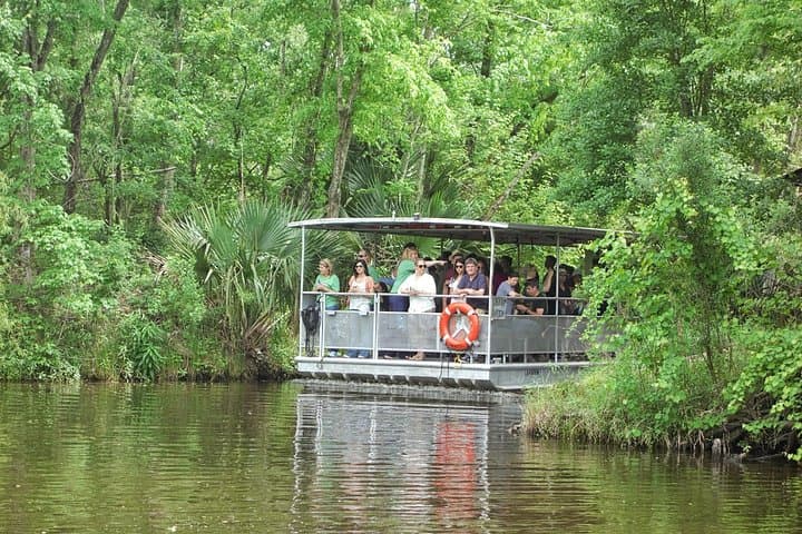 90-Minute Jean Lafitte Swamp and Bayou Tour from New Orleans