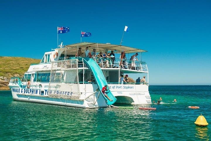 Full-Day Broughton Island Cruise from Port Stephens — Snorkel, Walk & Dolphin Watch photo 4
