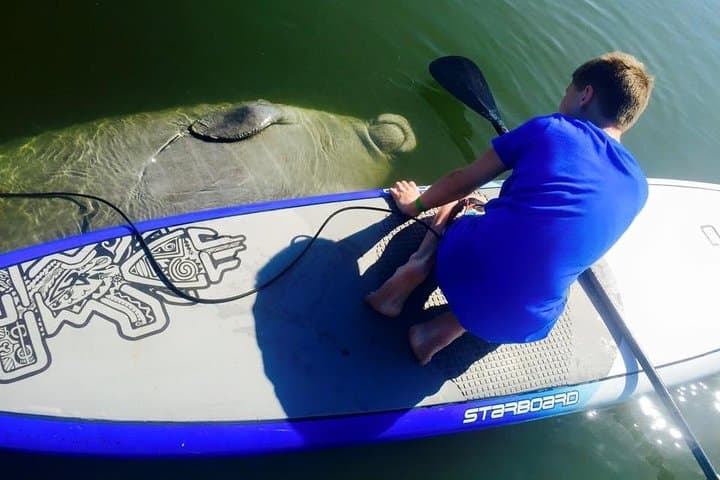 Banana River Paddle: Eco Dolphin & Manatee SUP and Kayak Tour from Cocoa Beach