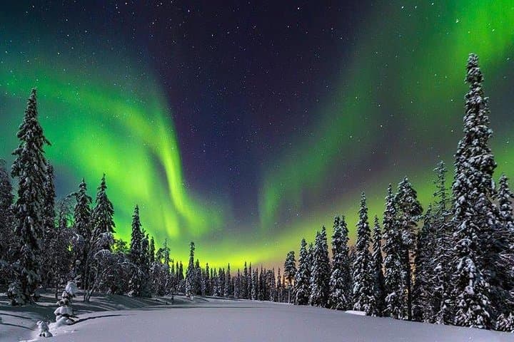 Overnight Snow Igloo and Northern Lights Experience Near Rovaniemi photo 2