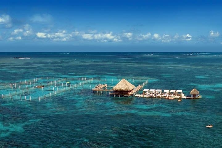 Reef Explorer Half-Day Trip: Snorkel with Stingrays & Kayak Bávaro Beach photo 2