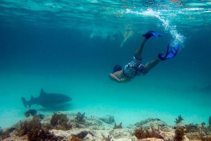 Reef Explorer Half-Day Trip: Snorkel with Stingrays & Kayak Bávaro Beach photo 3