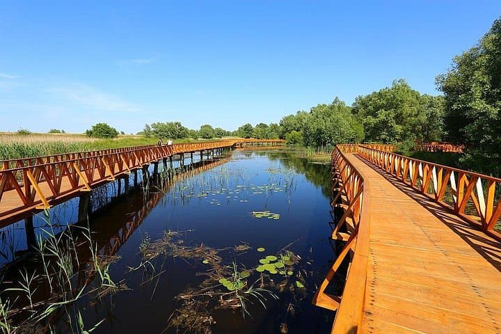 Kopački Rit Full-Day Private Tour from Zagreb — Birding, Wetlands & Osijek
