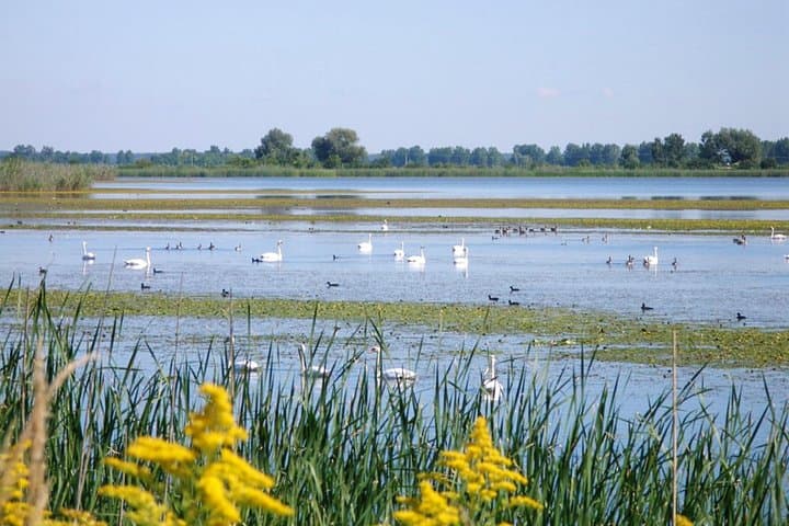 Kopački Rit Full-Day Private Tour from Zagreb — Birding, Wetlands & Osijek photo 4