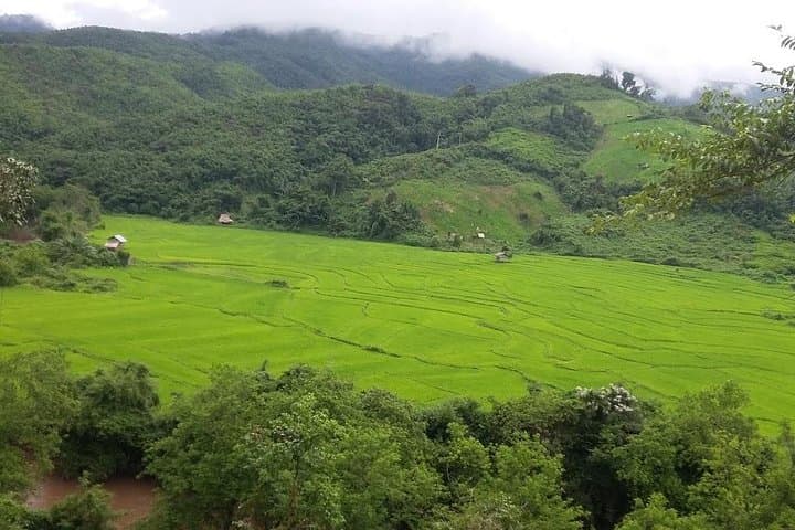 Hunter Trails Jungle Trek: 3-Day Camping & Homestay Adventure in Luang Namtha