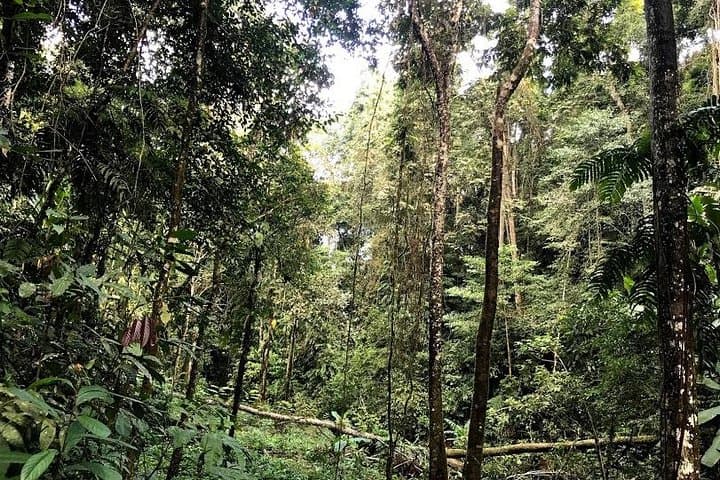 Hunter Trails Jungle Trek: 3-Day Camping & Homestay Adventure in Luang Namtha photo 6