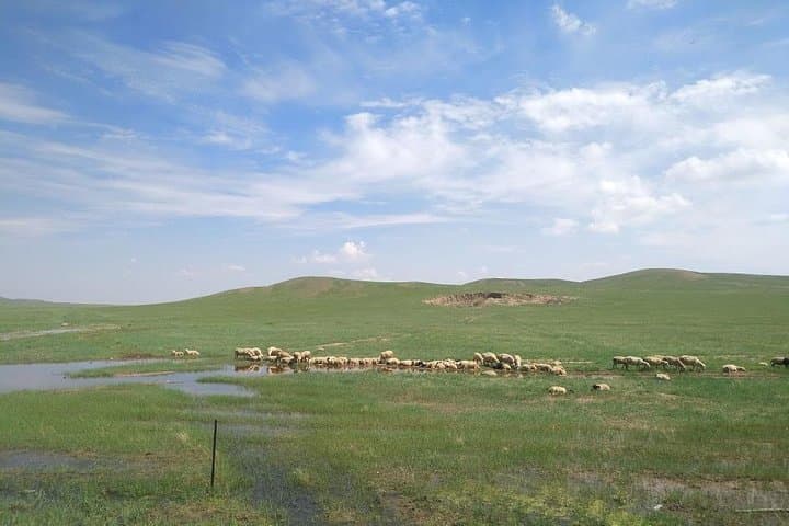 4-Day Hohhot to Inner Mongolia Grasslands & Kubuqi Desert Adventure photo 3