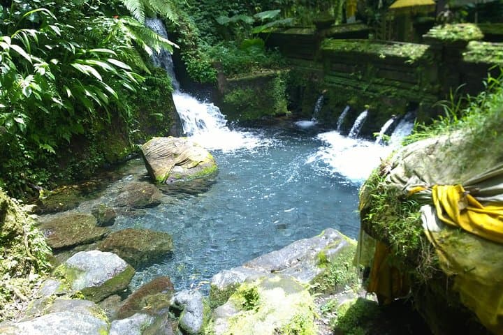 Bali Holy Bath, Jungle Swing & Tegalalang Rice Terraces — Private Day Trip from Ubud photo 2