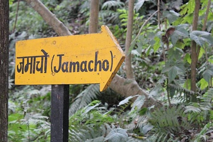 Nagarjun Hill Day Hike — Kathmandu Valley Views & Jamacho Shrine photo 5