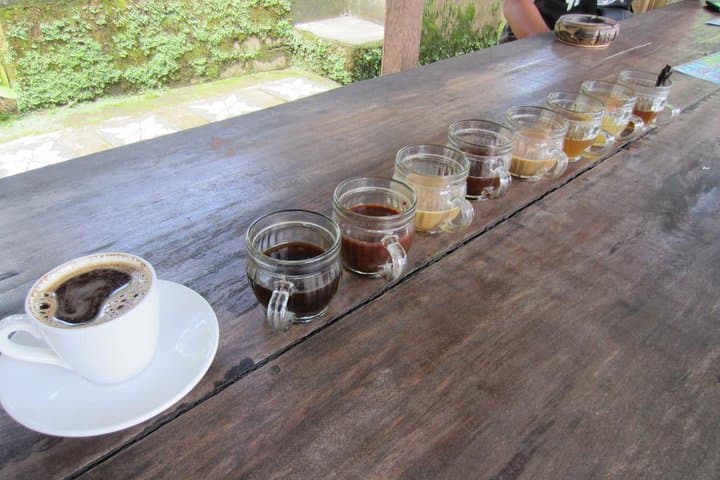 Bali Holy Bath, Jungle Swing & Tegalalang Rice Terraces — Private Day Trip from Ubud photo 3
