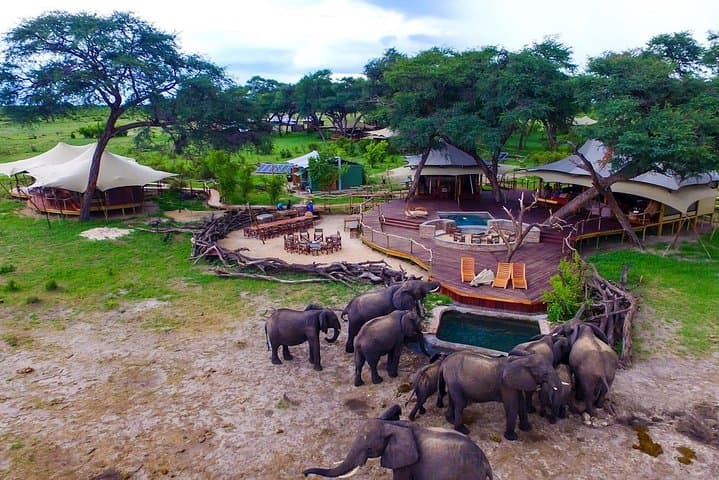 5-Day Victoria Falls & Hwange National Park Safari — Zambezi Cruise, Rainforest Walk and Big Five Game Drives photo 3