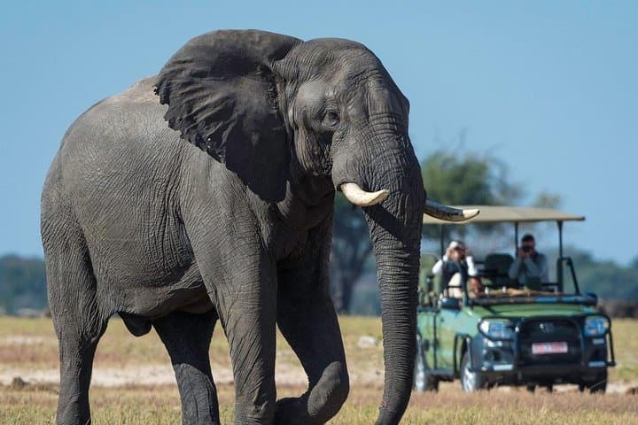 5-Day Victoria Falls & Hwange National Park Safari — Zambezi Cruise, Rainforest Walk and Big Five Game Drives photo 5
