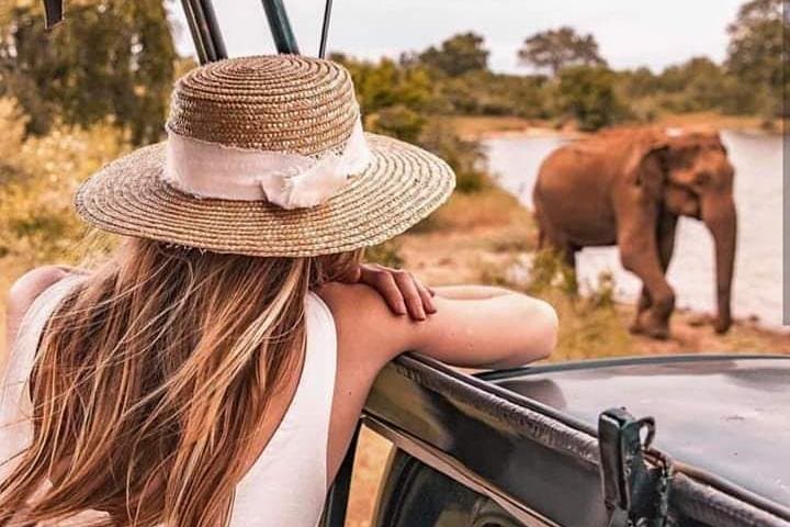 3-Day Private Sri Lanka Highlights Tour: Cultural Sites, Sigiriya & National Parks