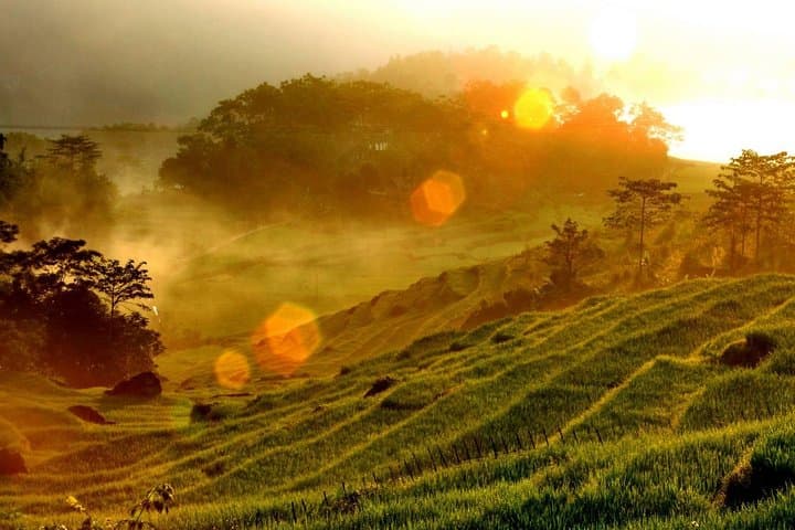 Mai Chau & Pu Luong 2-Day Trek: Rice Terraces, Village Life and Moderate Hikes photo 3