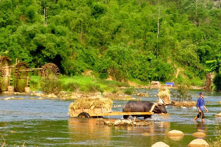 Mai Chau & Pu Luong 2-Day Trek: Rice Terraces, Village Life and Moderate Hikes photo 2