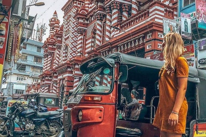 7-Day Private Sri Lanka Road Trip with English-Speaking Guide photo 3