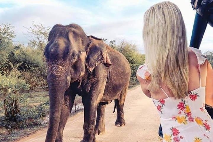 7-Day Private Sri Lanka Road Trip with English-Speaking Guide